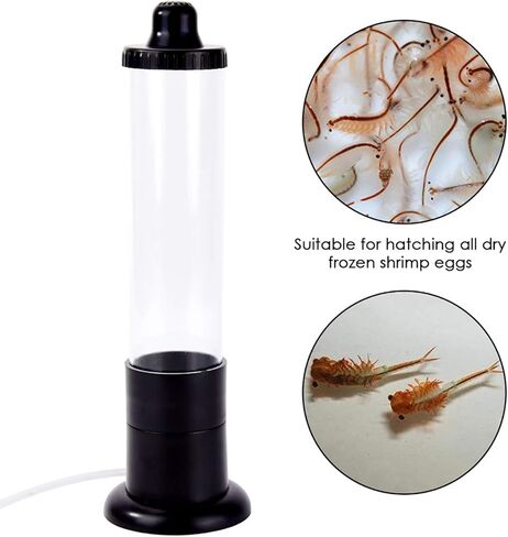 Petyoung Brine Shrimp Eggs Hatcher Incubator Hatchery Artemia Eggs Hatchery Kit DIY Aquarium Fish Tank Hatch Tool in Kuwait