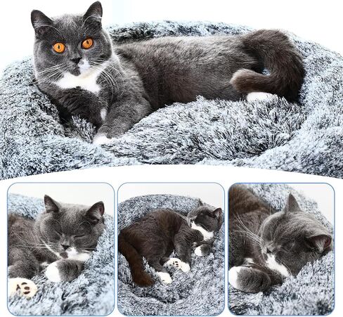 SJAELLAND Cat Bed for Indoor Cats Self Warming Washable-Round with Slip-Resistant Bottom Warm Cuddler Cushion Bed Pet Furniture for Small Medium Large Kittens - 23 Inch Dark Grey in Saudi Arabia