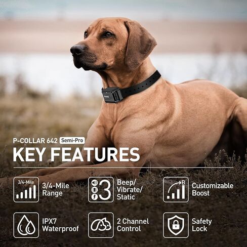 طوق تدريب الكلاب من بيتوري مع جهاز تحكم عن بعد - طوق صدمات للكلاب بمدى 3/4 ميل للكلاب التي يتراوح وزنها من 10 إلى 120 رطل، طوق قابل لإعادة الشحن مقاوم للماء مع صدمة معززة (1-30)، صفير (1-8)، اهتزاز (1-16)، صدمة آمنة (0-99) in Kuwait