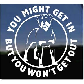 قد تدخل، لكنك لن تخرج | ملصق لاصق للنافذة مصنوع من الفينيل من NickerStickers® Rottweiler Guard Dog in Saudi Arabia