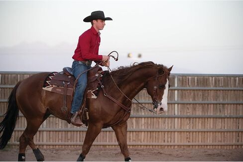 Weaver Equine 32X34 Flex Felt Saddle Pad in Saudi Arabia