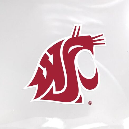 Littlearth NCAA Washington State Cougars حقيبة كروس شفافة، لون الفريق، 30.48 سم × 30.48 سم × 15.24 سم in Saudi Arabia