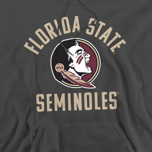 Florida State University Official Seminoles Logo Unisex Adult Pull-Over Hoodie in Saudi Arabia