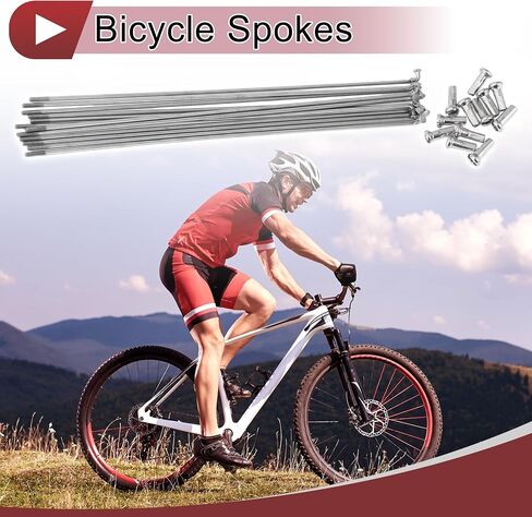 12 Set 14G Bicycle Spokes 191mm Bike Wheel Spokes 304 Stainless Steel Silver Tone in Saudi Arabia
