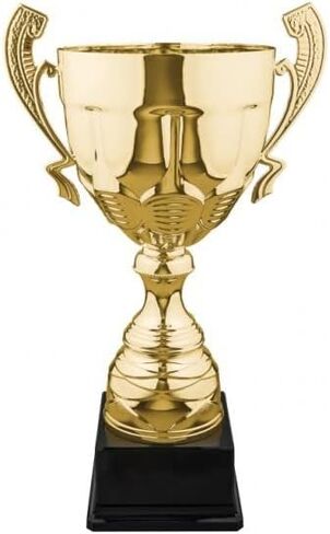 Trophy Monster Gold Or Silver 1st 2nd 3rd Place Large Trophy Cup Award Metal Bowl | for Club, School & Presentations | Free Engraving in Saudi Arabia