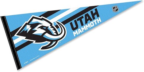 WinCraft Mammoth Pennant Flag in Saudi Arabia
