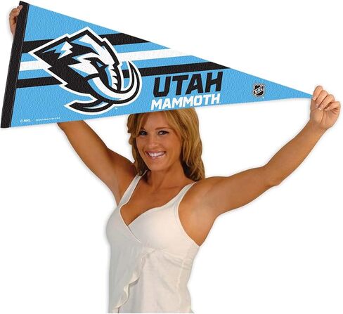 WinCraft Mammoth Pennant Flag in Saudi Arabia