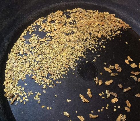 حقيبة دفع الأوساخ من PIONEER GOLD Paydirt Panning - مركز التنقيب عن الذهب كبير in Saudi Arabia