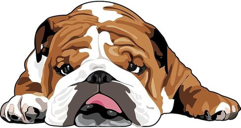 CafePress Teddy The English Bulldog Mug 11 أونصة (325 مل) كوب قهوة من السيراميك in Kuwait
