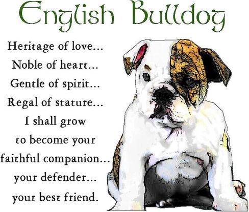 CafePress Teddy The English Bulldog Mug 11 أونصة (325 مل) كوب قهوة من السيراميك in Kuwait