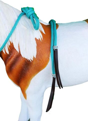 CHALLENGER Horse Western Knotted Bosal Rawhide Hanger Headstall w/Turquoise Braided Reins 78J04TR in Saudi Arabia
