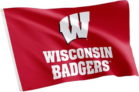 Desert Cactus University of Wisconsin UW Flag - 3 x 5 Feet Badgers Banner, Indoor/Outdoor Durable Fabric, 100% Polyester Design (Style 5) in Saudi Arabia