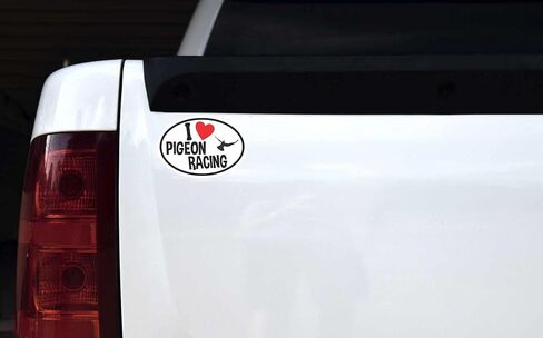StickerTalk Oval I Love Pigeon Racing Vinyl Sticker, 5 inches by 3.5 inches in Saudi Arabia