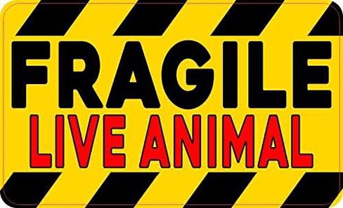 ملصق من الفينيل لحيوانات حية هشة من ستيكر توك، مقاس 12.7 سم × 7.62 سم in Saudi Arabia