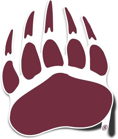 ملصق جامعة صبار الصحراء مونتانا Grizzlies UM Griz UMont ملصق حائط من الفينيل‏ للكمبيوتر المحمول وزجاجة مياه وقصاصات السيارة (IND 9) in Saudi Arabia