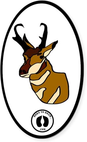 ملصق CafePress Pronghorn ملصق ممتص الصدمات للسيارة بيضاوي in Saudi Arabia