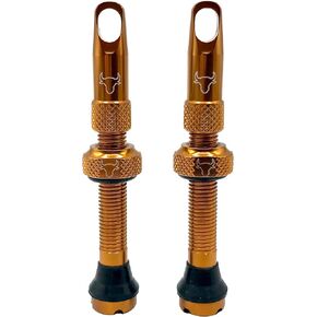 Tubeless Valve Stem, 42mm (Pair), Bronze - 42BRZI in Saudi Arabia