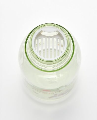 My Neighbor Totoro Direct Drinking Plastic Water Bottle with infuser 16.91oz- Rasberry in Kuwait