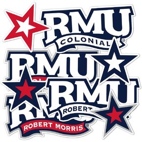 Desert Cactus Robert Morris University Sticker Colonials RMU Sticker Vinyl Decals Laptop Water Bottle Car Scrapbook T2 (Type 2-2) in Kuwait