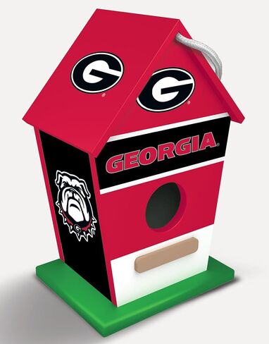 MasterPieces Team Logo Painted Wood Birdhouse - NCAA Michigan Wolverines in Saudi Arabia