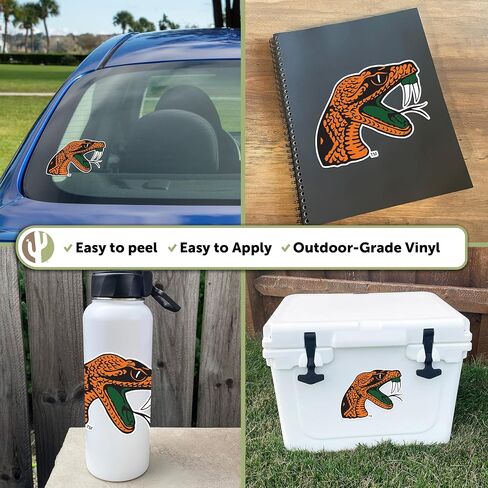 Desert Cactus Florida A&M University Sticker FAMU Vinyl Decal Laptop Water Bottle Car Scrapbook (IND 38) in Saudi Arabia