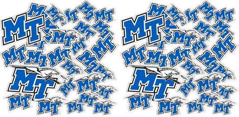 Desert Cactus Middle Tennessee State University Sticker Blue Raiders MTSU Vinyl Decals Laptop Water Bottle Car Scrapbook T1 (Type 1-1) in Saudi Arabia