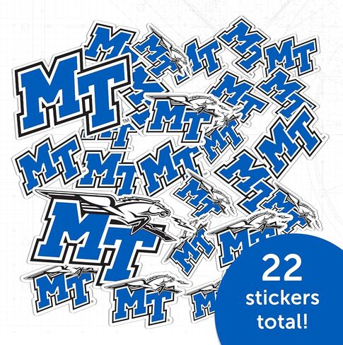 Desert Cactus Middle Tennessee State University Sticker Blue Raiders MTSU Vinyl Decals Laptop Water Bottle Car Scrapbook T1 (Type 1-1) in Saudi Arabia