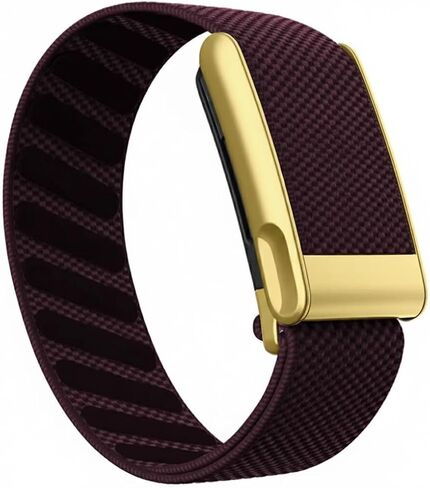 سوار Whoop 5.0 / Whoop MG البديل Superknit - مشبك ذهبي/زخرفة/خطاف/رابط - نسيج نايلون مطاطي - أحزمة متوافقة مع One/Life/Peak لأجهزة Whoop 5.0 وWhoop MG in Kuwait