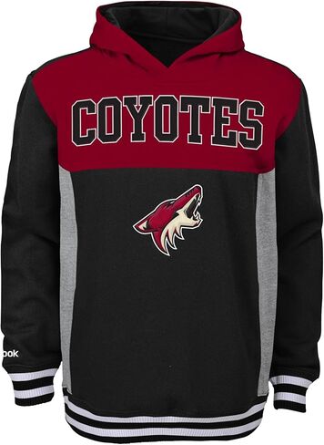 Outerstuff NHL Youth Boys 8-20 Var-City Fleece Team Colors Hoodie in Saudi Arabia