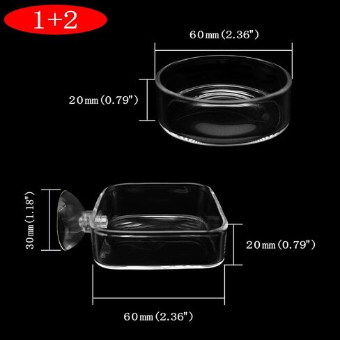 IAFVKAI Aquarium Shrimp Feeder Dish Glass Fish Tank Feeding Bowls, 2pcs Square Glass Food Bowl (60mm), 1pcs Round Fish Feeding Bowls with Suction Cups (60mm) in Saudi Arabia