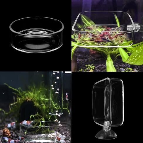 IAFVKAI Aquarium Shrimp Feeder Dish Glass Fish Tank Feeding Bowls, 2pcs Square Glass Food Bowl (60mm), 1pcs Round Fish Feeding Bowls with Suction Cups (60mm) in Saudi Arabia