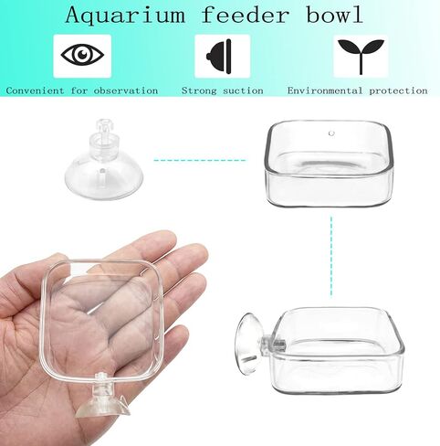 IAFVKAI Aquarium Shrimp Feeder Dish Glass Fish Tank Feeding Bowls, 2pcs Square Glass Food Bowl (60mm), 1pcs Round Fish Feeding Bowls with Suction Cups (60mm) in Saudi Arabia