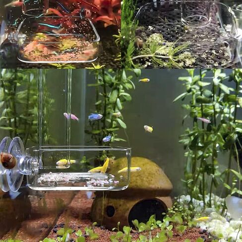IAFVKAI Aquarium Shrimp Feeder Dish Glass Fish Tank Feeding Bowls, 2pcs Square Glass Food Bowl (60mm), 1pcs Round Fish Feeding Bowls with Suction Cups (60mm) in Saudi Arabia