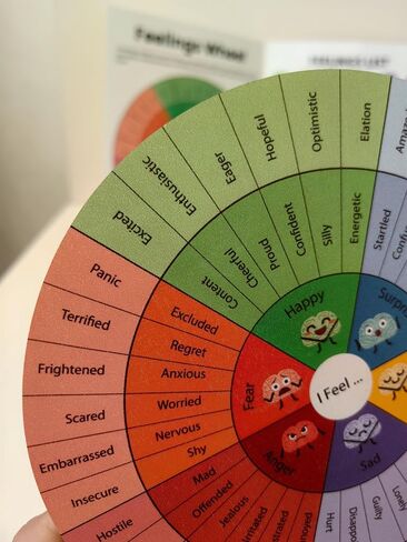Feelings Wheel Therapy Emotions Double Sided Mental Health Office Desk Decor - 2 Page Feelings Wheel & List Emotions Print Card for School Counselor, Counseling Therapist, Therapy Office Decor. in Saudi Arabia