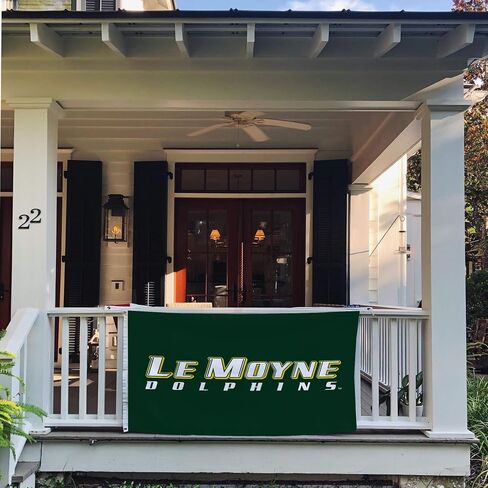 علم LMC من Desert Cactus Le Moyne College - لافتة دلافين مقاس 3 × 5 أقدام، قماش متين للاستخدام الداخلي/الخارجي، تصميم بوليستر 100% (النمط 2) in Saudi Arabia