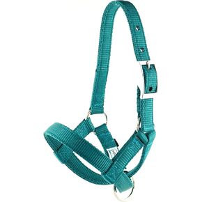 Alpaca Halter, S M L, Made in USA, Lead, Fence Tie, 24 Patterns, Figure 8, Small, Medium, Large, Livestock (Teal, Medium) in Saudi Arabia