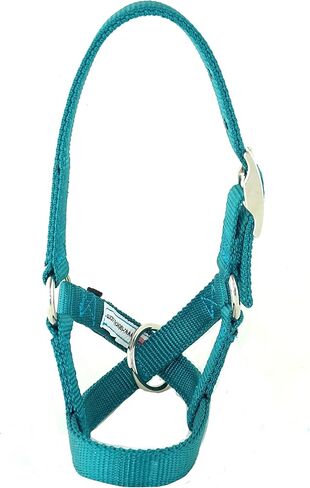 Alpaca Halter, S M L, Made in USA, Lead, Fence Tie, 24 Patterns, Figure 8, Small, Medium, Large, Livestock (Teal, Medium) in Saudi Arabia
