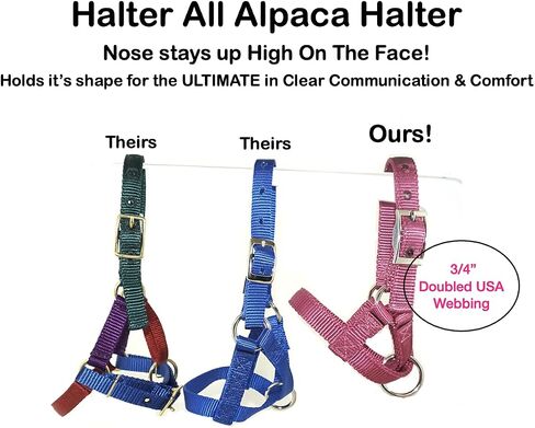 Alpaca Halter, S M L, Made in USA, Lead, Fence Tie, 24 Patterns, Figure 8, Small, Medium, Large, Livestock (Teal, Medium) in Saudi Arabia