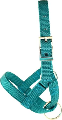 Alpaca Halter, S M L, Made in USA, Lead, Fence Tie, 24 Patterns, Figure 8, Small, Medium, Large, Livestock (Teal, Medium) in Saudi Arabia