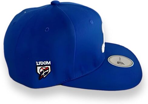 Tigres del Licey 4Fans Snapback Cap Blue in Saudi Arabia