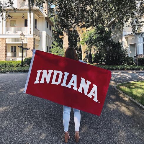 Desert Cactus Indiana University IU Flag - 3 x 5 Feet Hoosiers Banner, Indoor/Outdoor Durable Fabric, 100% Polyester Design (Style 1) in Saudi Arabia