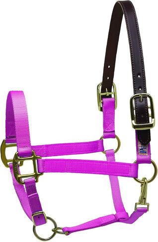 Perri's Premium Nylon Safety Halter in Saudi Arabia