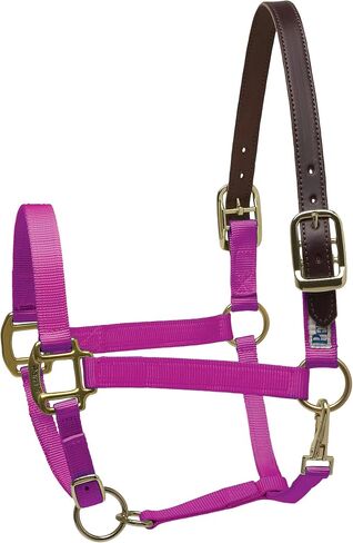 Perri's Premium Nylon Safety Halter in Saudi Arabia