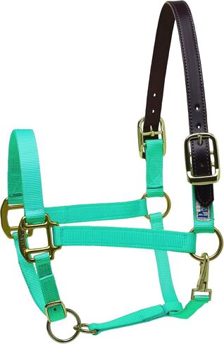 Perri's Premium Nylon Safety Halter in Saudi Arabia