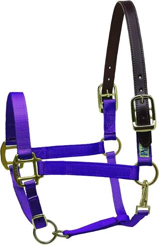 Perri's Premium Nylon Safety Halter in Saudi Arabia