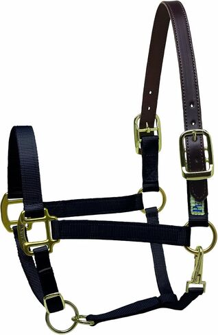 Perri's Premium Nylon Safety Halter in Saudi Arabia
