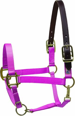 Perri's Premium Nylon Safety Halter in Saudi Arabia