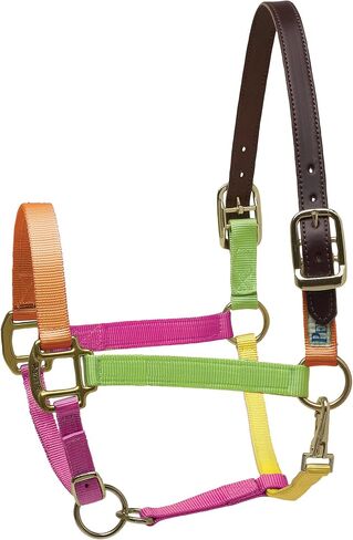Perri's Premium Nylon Safety Halter in Saudi Arabia