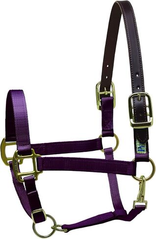 Perri's Premium Nylon Safety Halter in Saudi Arabia