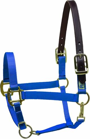 Perri's Premium Nylon Safety Halter in Saudi Arabia